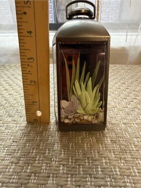 Bath Body Works Succulent Lantern Terrarium - Green and Purple Faux Plant Accent